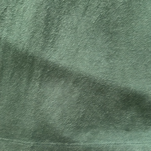 Green Stretch Pique Polo Shirt | Express | Size Medium - Picture 4 of 4